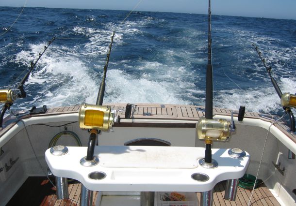 Pic: Mick Fletoridis